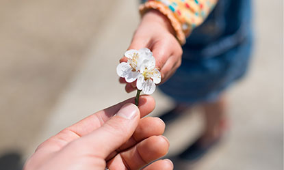 foundation planned giving