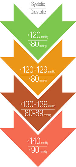 Blood pressure chart